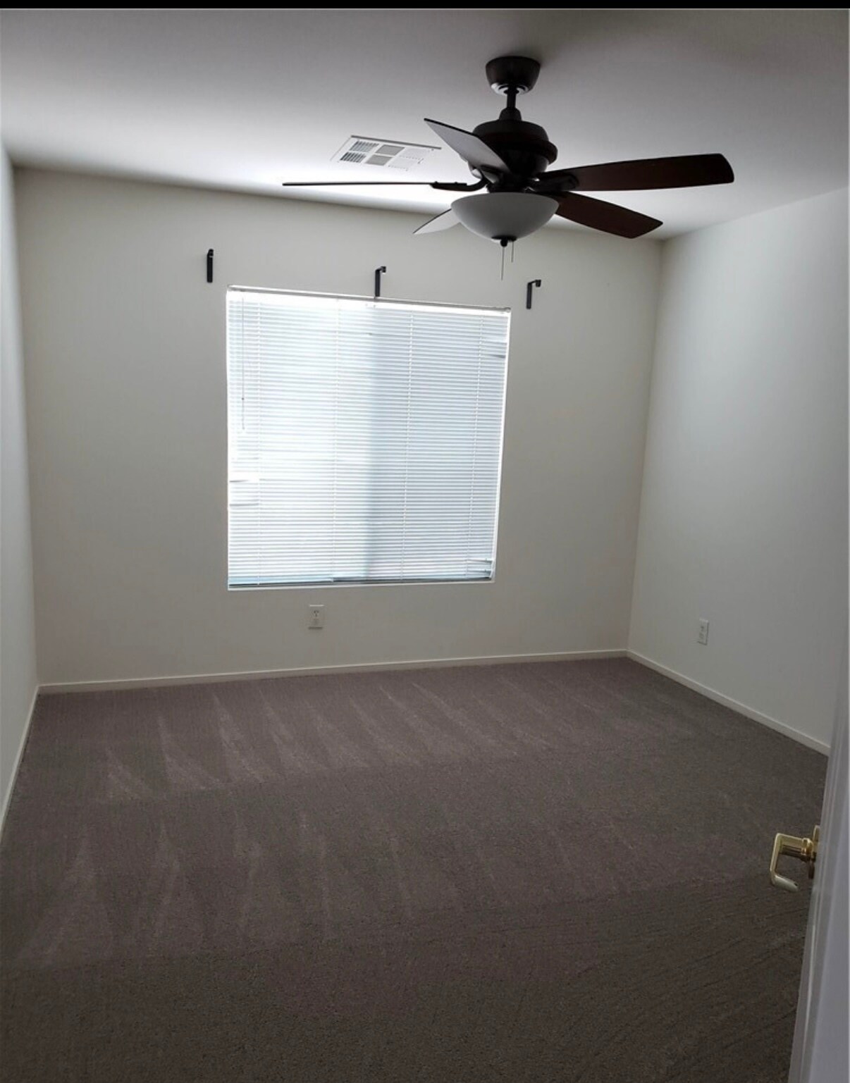 Building Photo - 3504 Glorious Iris Pl