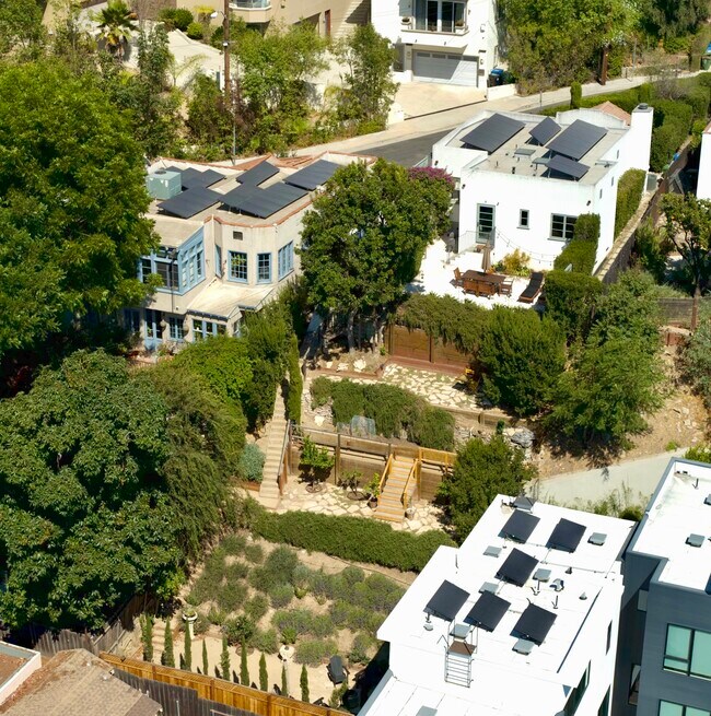 Full backyard - 1521 Parmer Ave