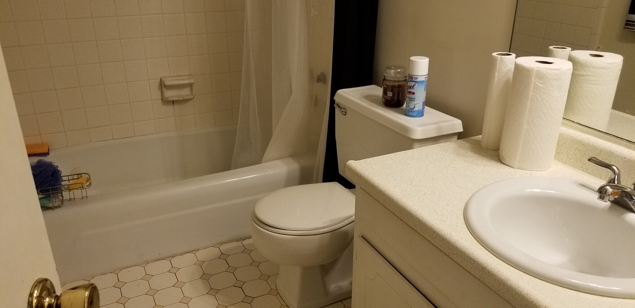 2nd full bath - 2116 Montreat Ln