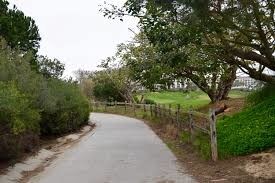 Walking path to beach - 40 Corniche Dr