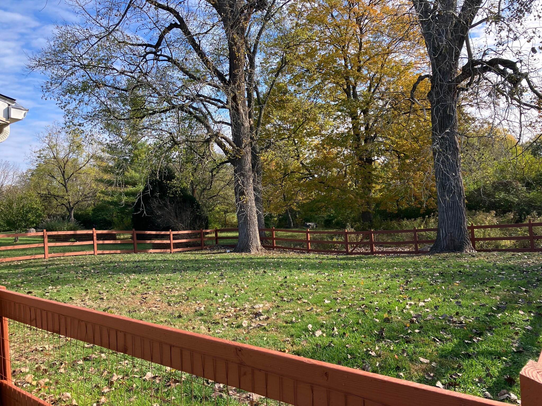 Building Photo - 7948 Thistlewood Ct