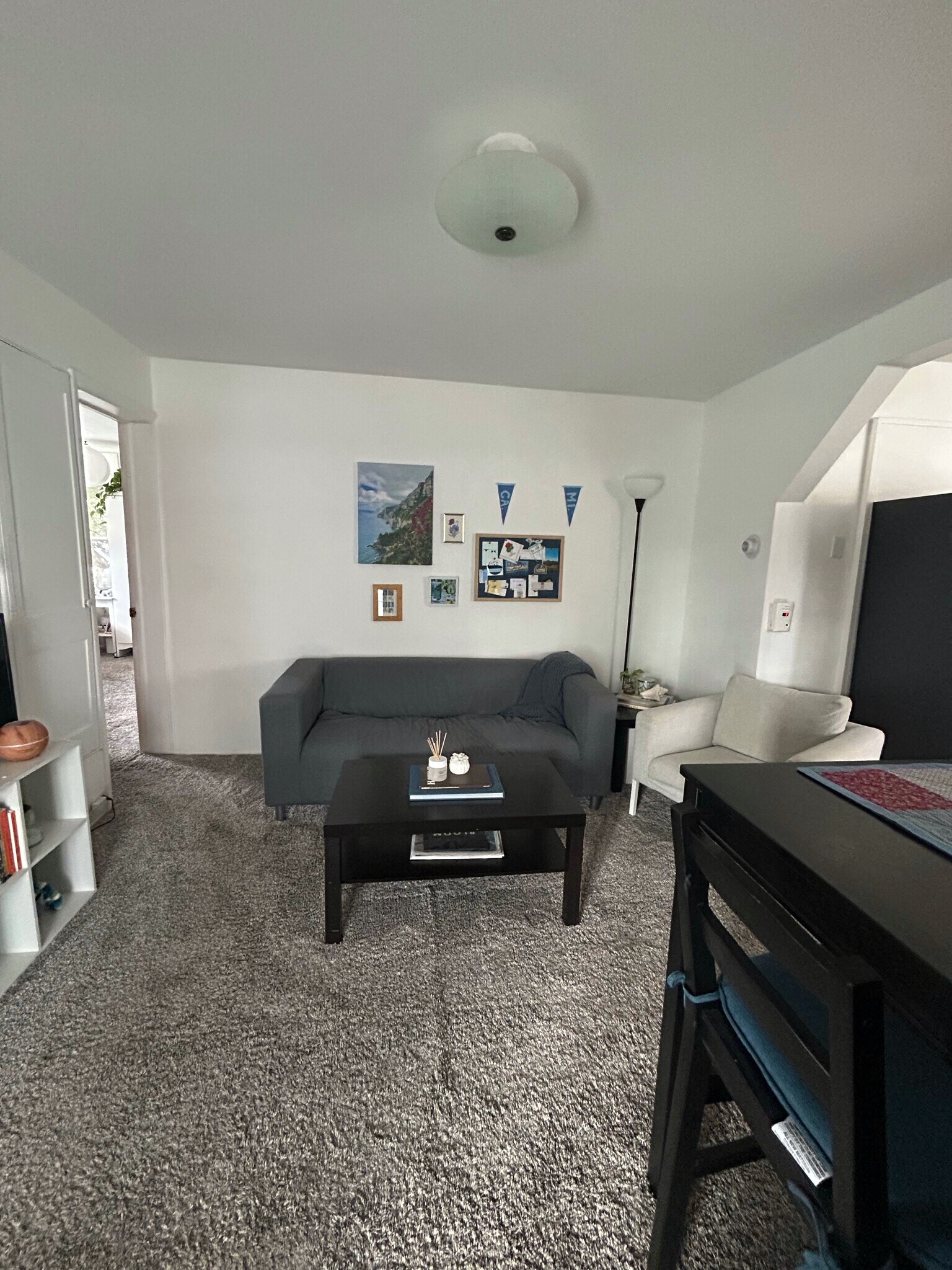 Living Room - view from entrance - 422 W William St