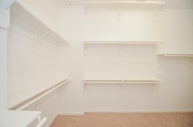 Building Photo - 2123 Thistlerock Ln