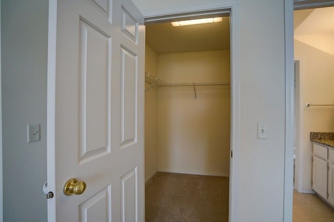 Building Photo - 1237 Jasmine Dr