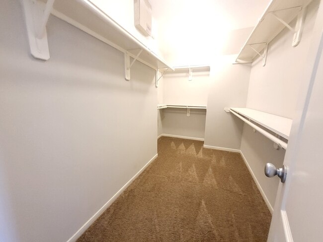 Building Photo - 7415 Hollister Ridge