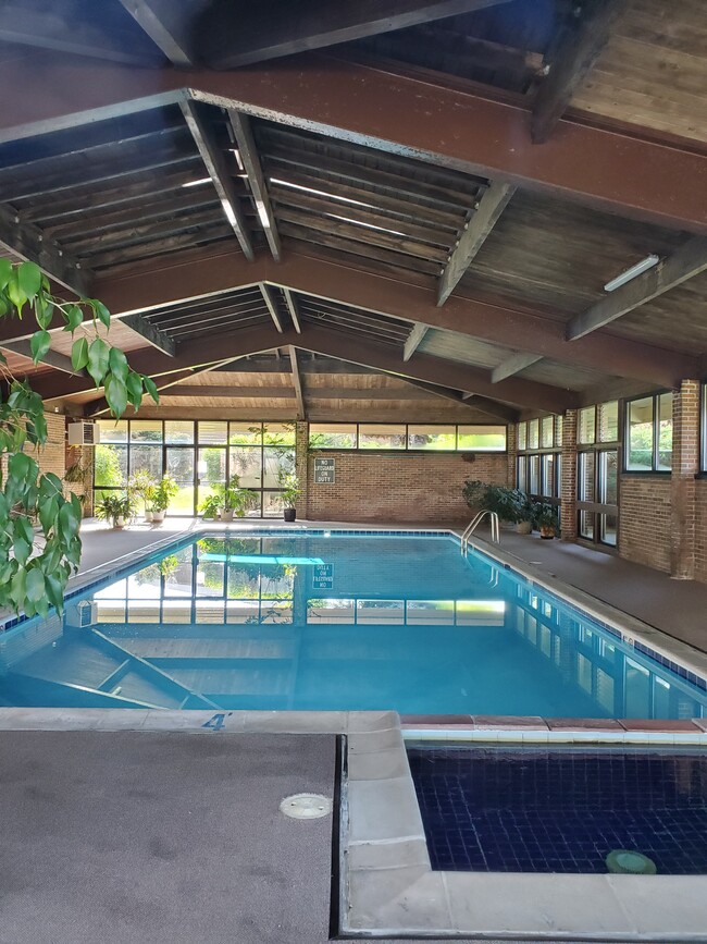 Indoor pool and hot tub - 5126 Williams Fork Trl