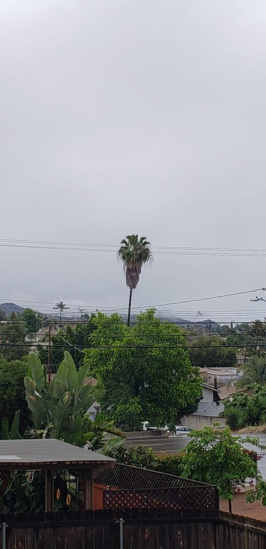 Building Photo - 3 Bed 2 Bath Townhouse in Lakeside