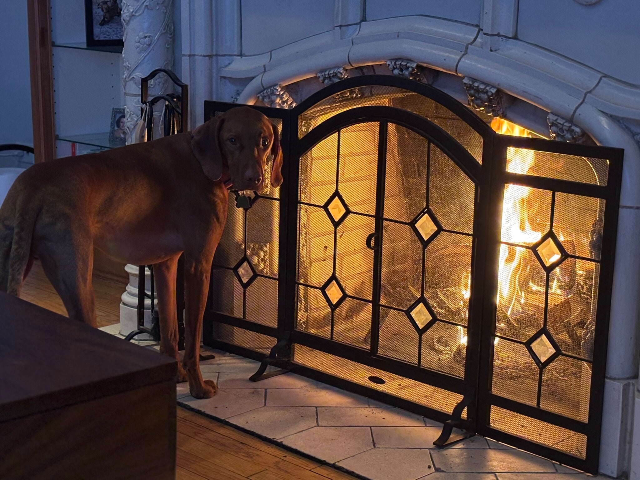 Building Photo - 642 W Bittersweet Pl