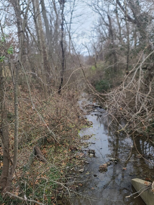 Creek at northern property line (does not flood) - 2015 Arlene Dr