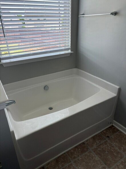 Master Bathroom - 101 Portland Falls Dr