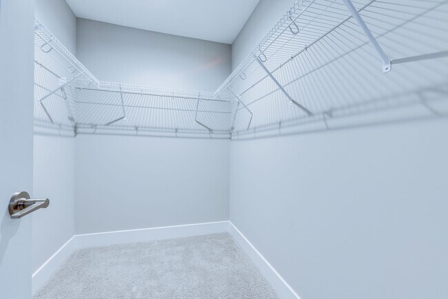 Building Photo - 4005 Stefano Dr