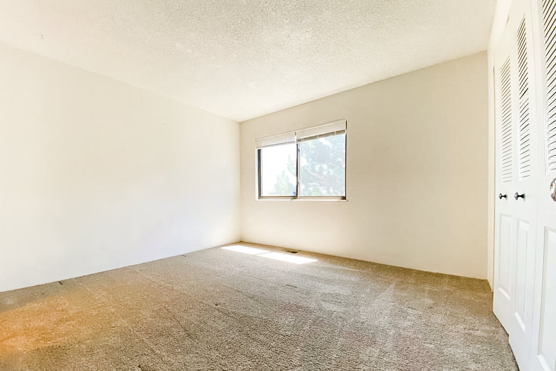 Master Bedroom 2 - 2720 W 86th Ave