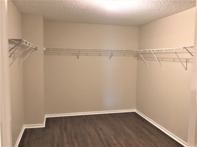 Building Photo - 3225 Capsella Ln