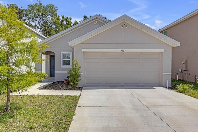 Primary Photo - 36628 Spanish Rose Dr