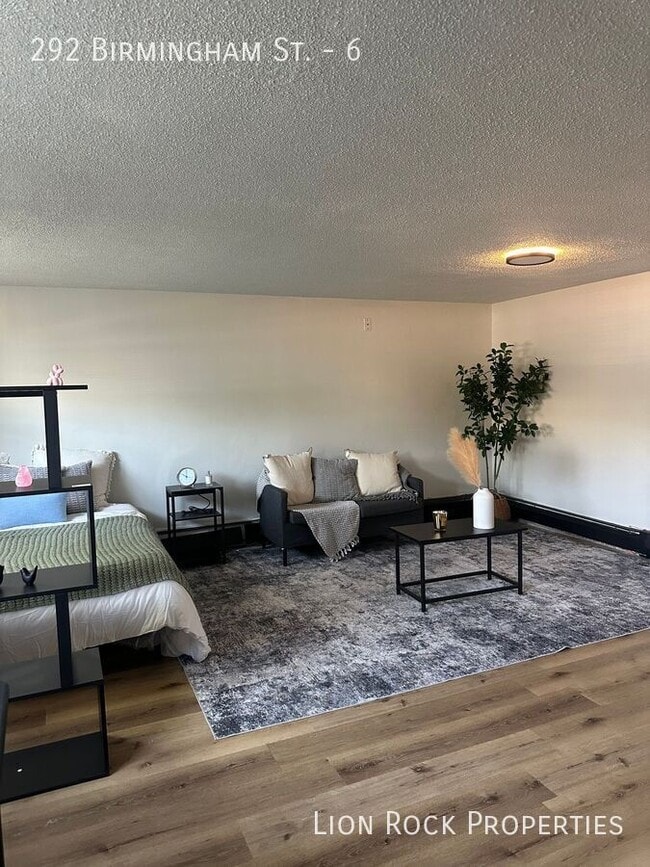 Building Photo - 292 Birmingham St