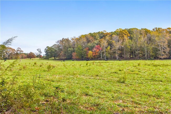 Building Photo - 1727 Oak Grove Church Rd