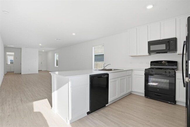 Building Photo - 23513 Tiny Moons Wy