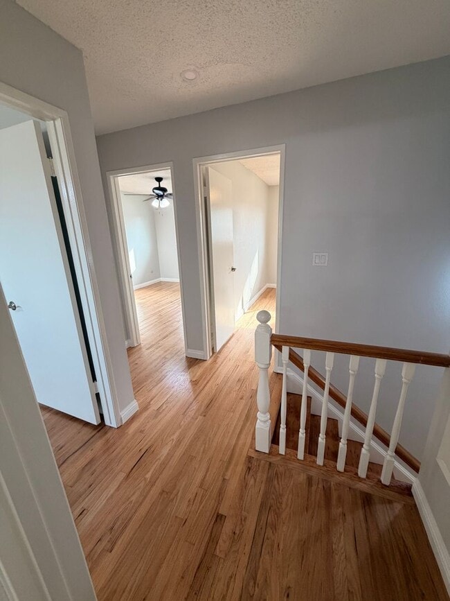 Building Photo - Beautifully Remodeled 4 Bedroom Cypress Ho...