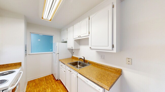 Building Photo - 445 Ignacio Blvd