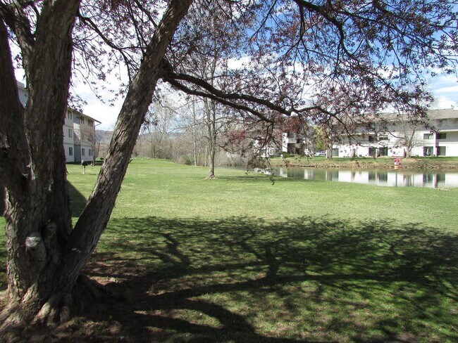 Building Photo - 1705 Heatheridge Rd