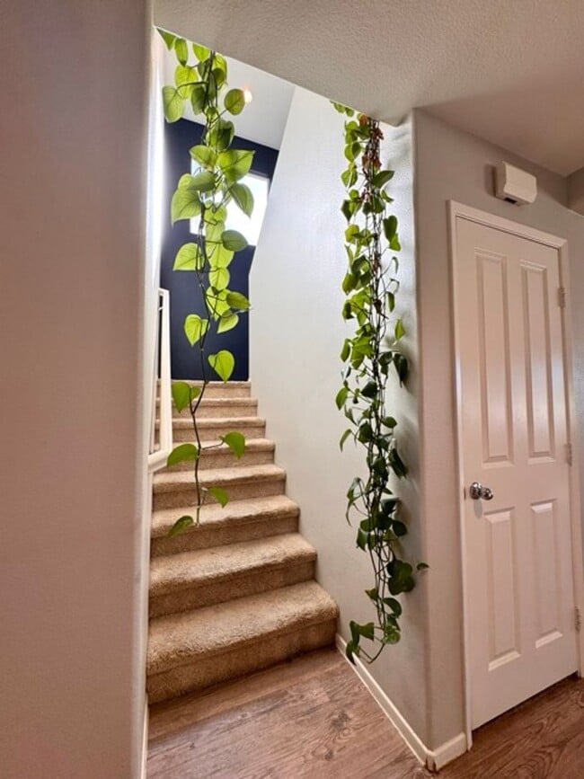 Building Photo - Stunning 4 Bedroom Cul-De-Sac Home with Loft located in Winchester!