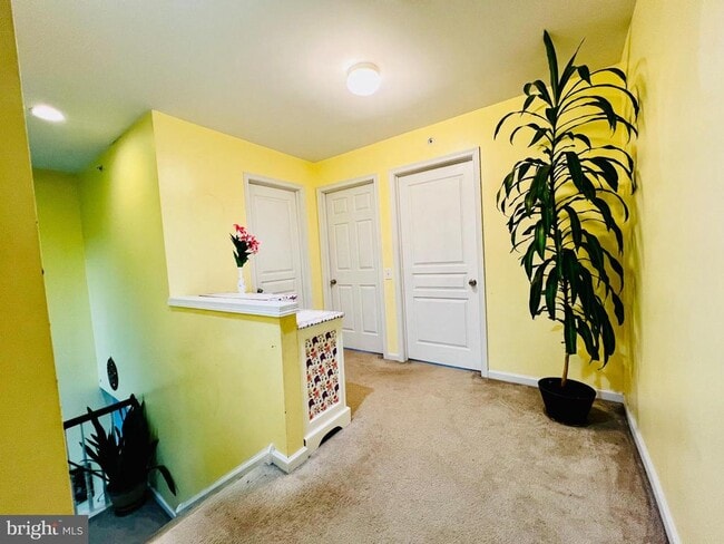 Building Photo - 209 Sills Ln