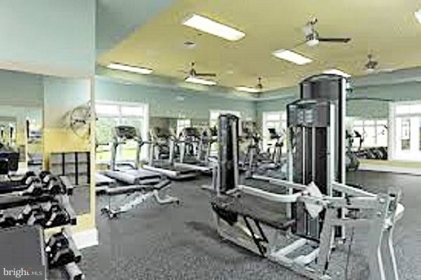 Building Photo - 23204 Wrathall Dr
