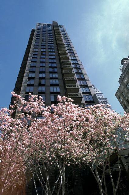 Building Photo - On Madison Square Park