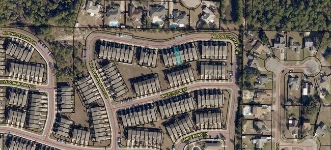 Building Photo - 2123 Wilsons Plover Cir
