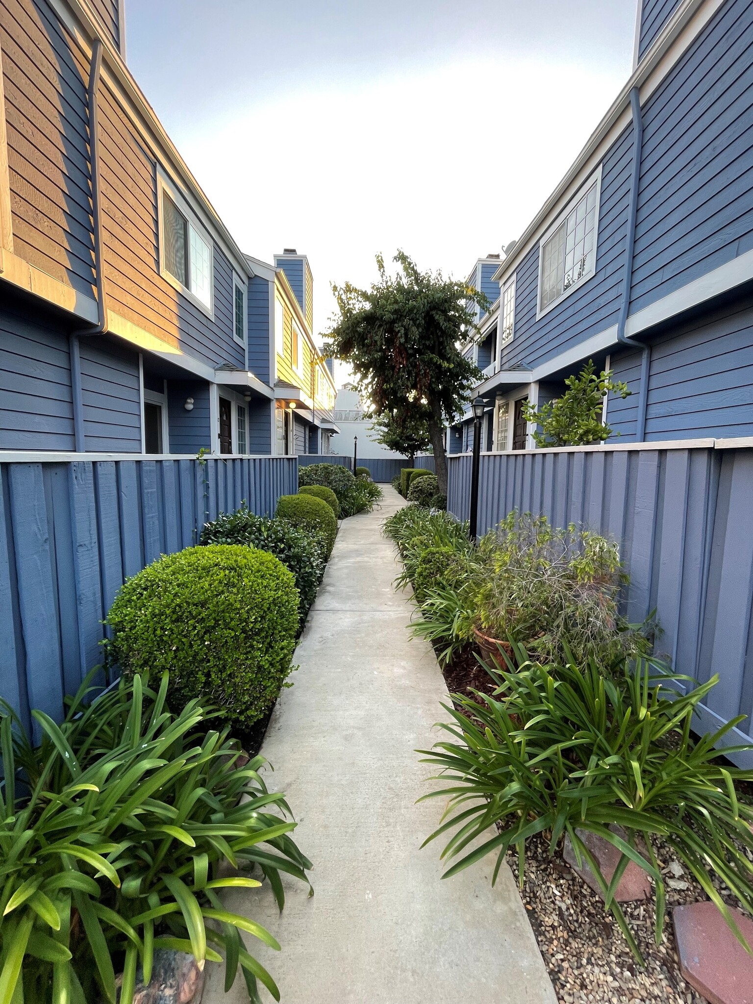 courtyard - 109 W Spring St