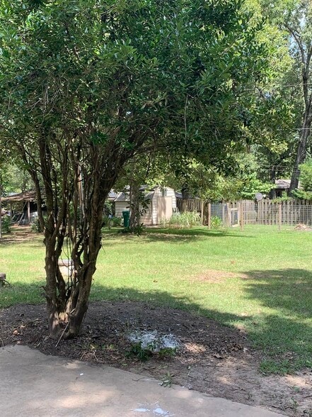 Backyard - 1903 Ginnett Rd