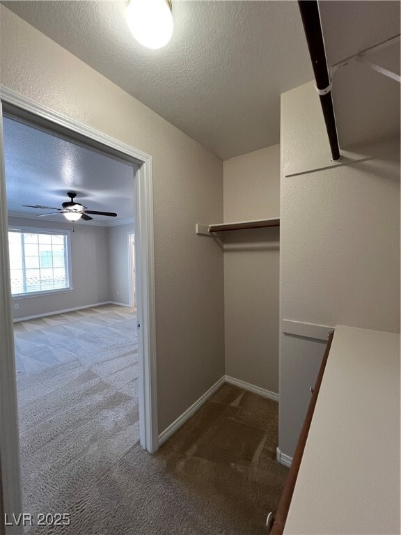 Building Photo - 7195 Cestrum Rd