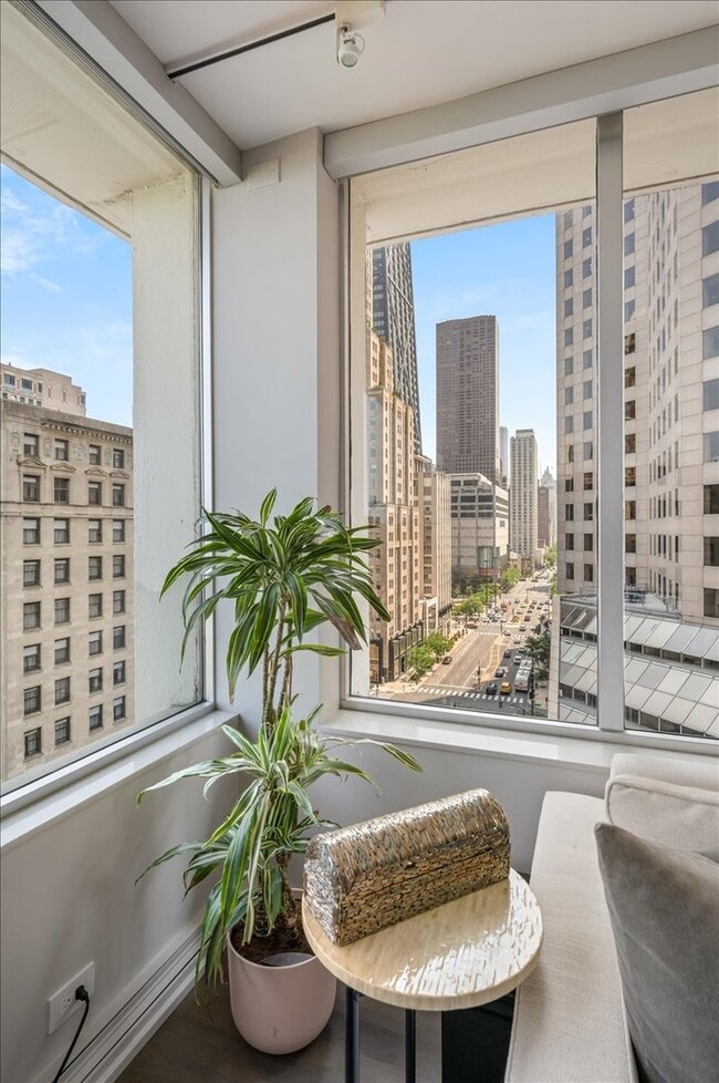 Building Photo - 1000 N Lake Shore Dr