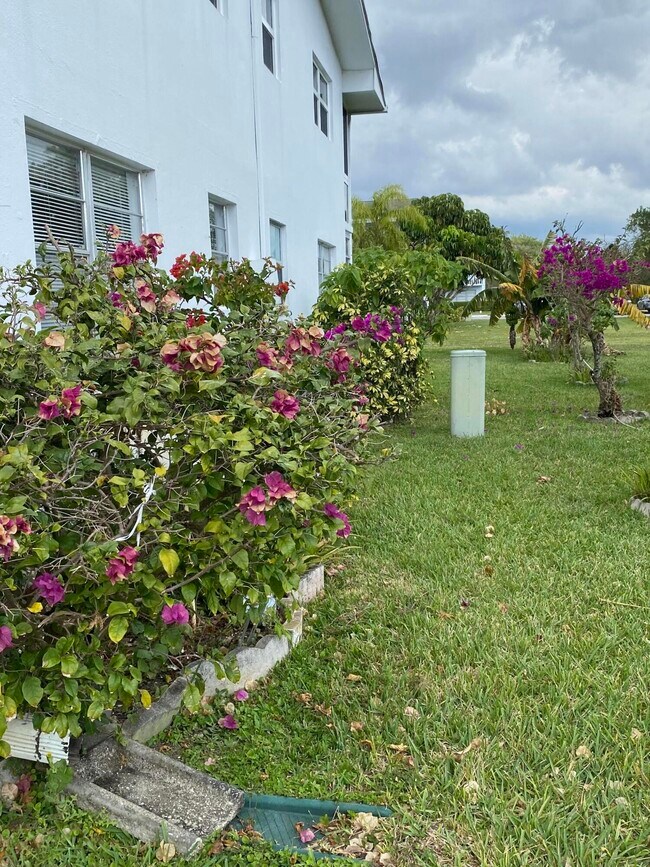 Building Photo - 72 Newport D