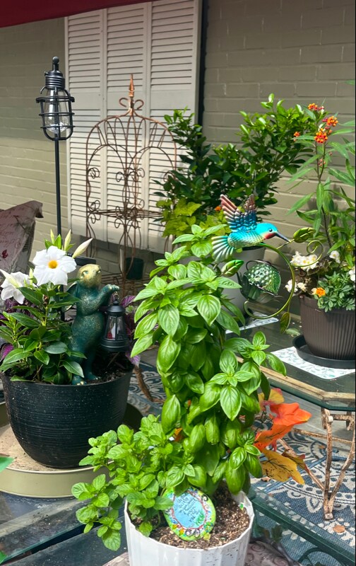 Building Photo - 315 Bomar Pl