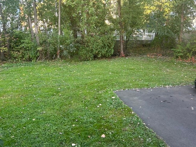 Building Photo - 30 Goldsmith St