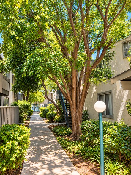 Grounds - 18620 Hatteras St