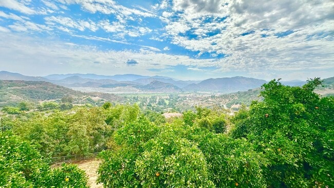 Building Photo - Beautiful Scenic Country Property with Vie...