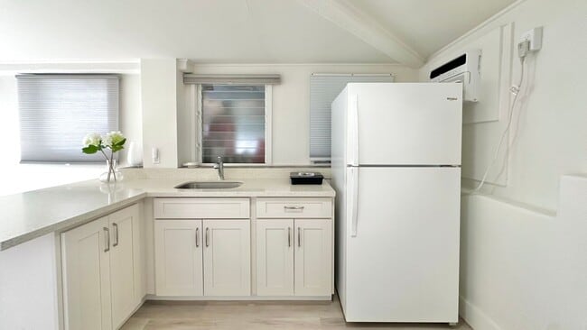 Building Photo - Available NOW - Newly Renovated Studio wit...