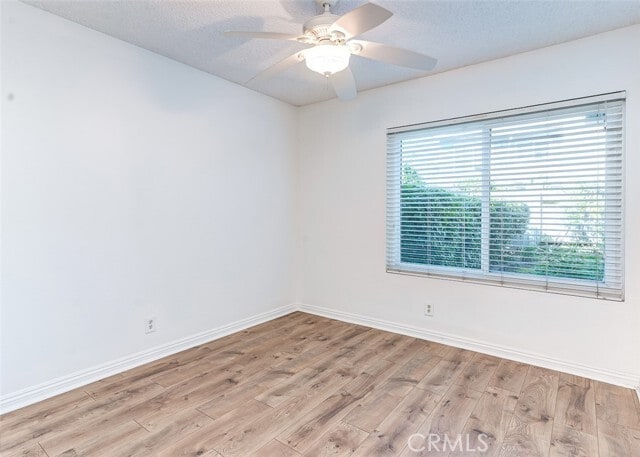 Building Photo - 23 Blazing Star