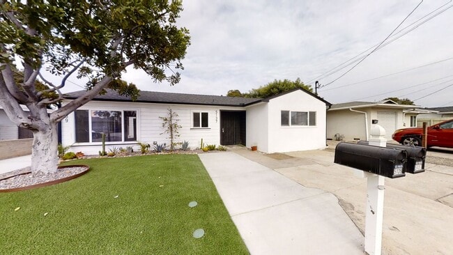 Primary Photo - 5BD/2BA, Easy Walk to Campus!!