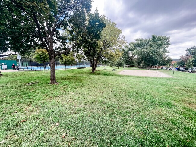 Volleyball Court - 901A S Scott St
