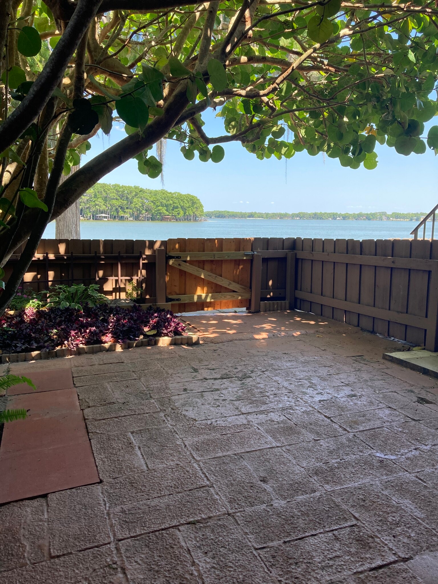 Own fenced in courtyard - 368 Georgetown Dr