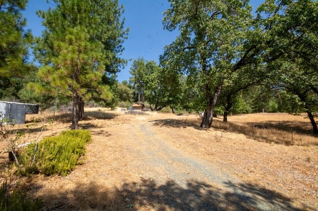 Building Photo - Charming Lindal Cedar Home on 10 Acres