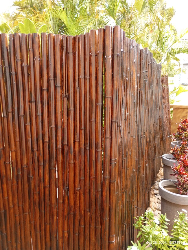 Driveway tall bamboo fencing before gate. - 281 Kaikea St