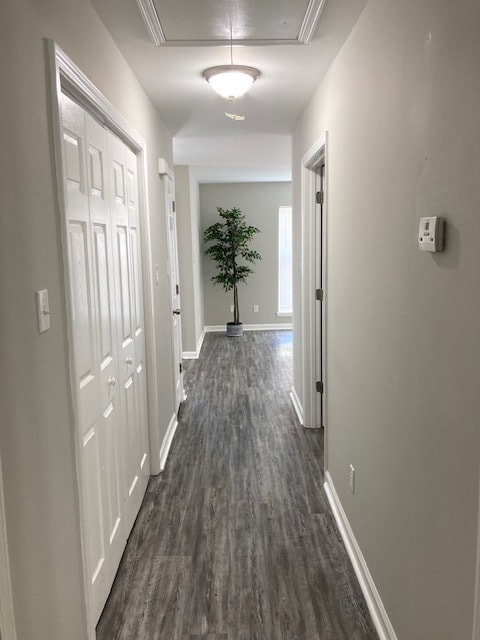 Washer Dryer Hallway Enclosure - 1223 E Waldburg St