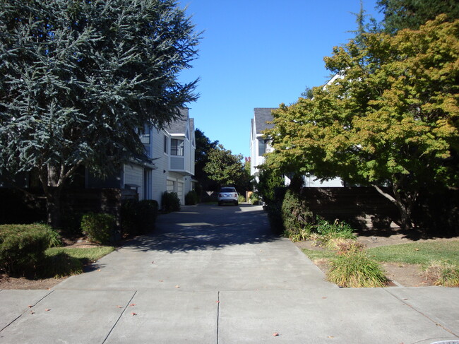 Building Photo - 419 Matheson Street