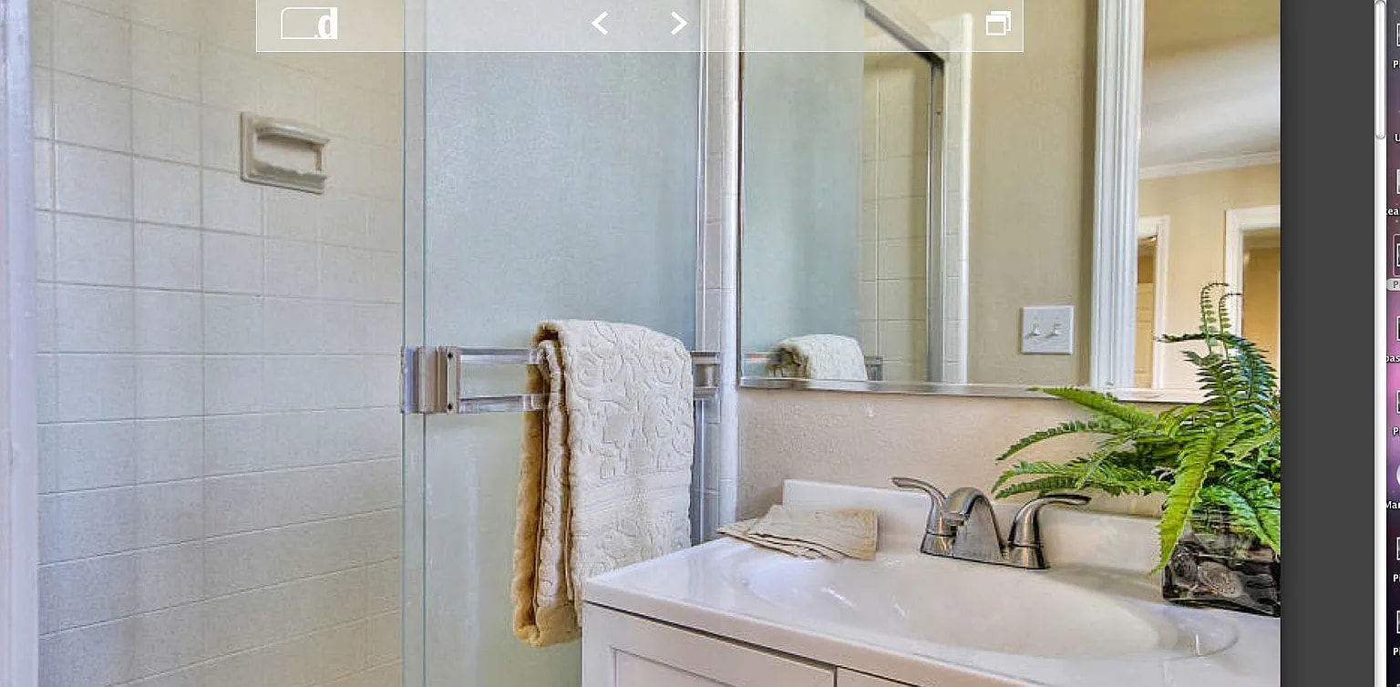 master bath - 1614 Orchard View Dr