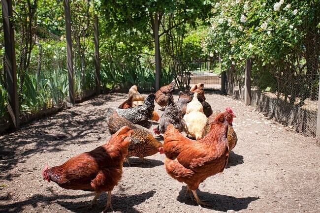 Building Photo - 430 Pratt Ave