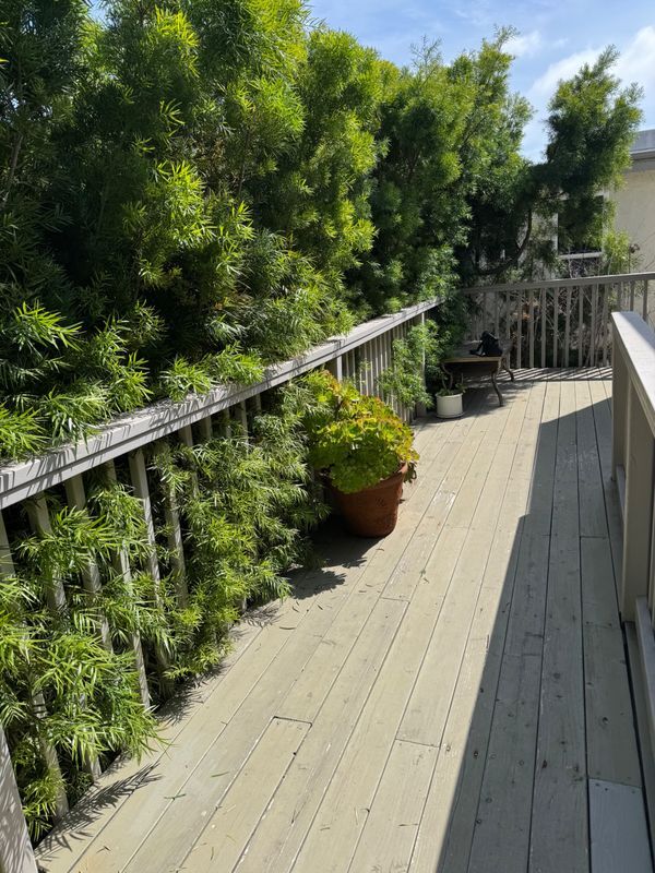 Building Photo - 1236 23rd St